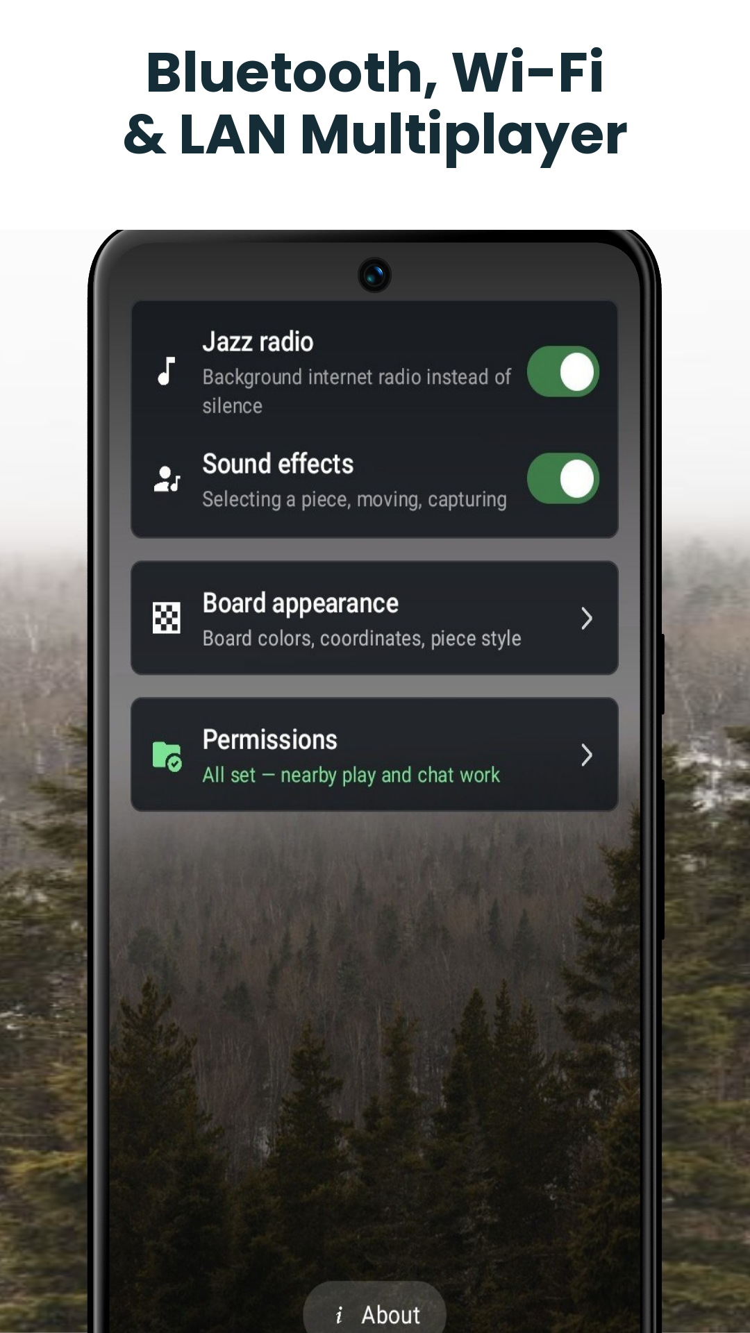 Bluetooth, Wi-Fi & LAN Multiplayer